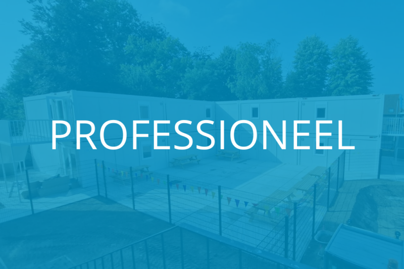 DSU26 PROFESSIONEEL