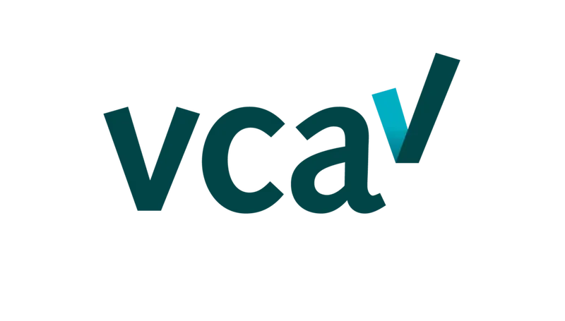VCA logo 2000x1138px RGB 2 0 1140x649
